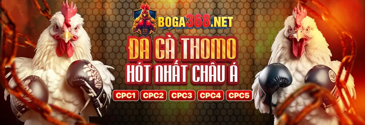 Hình ảnh đối tác daga thomo hom nay