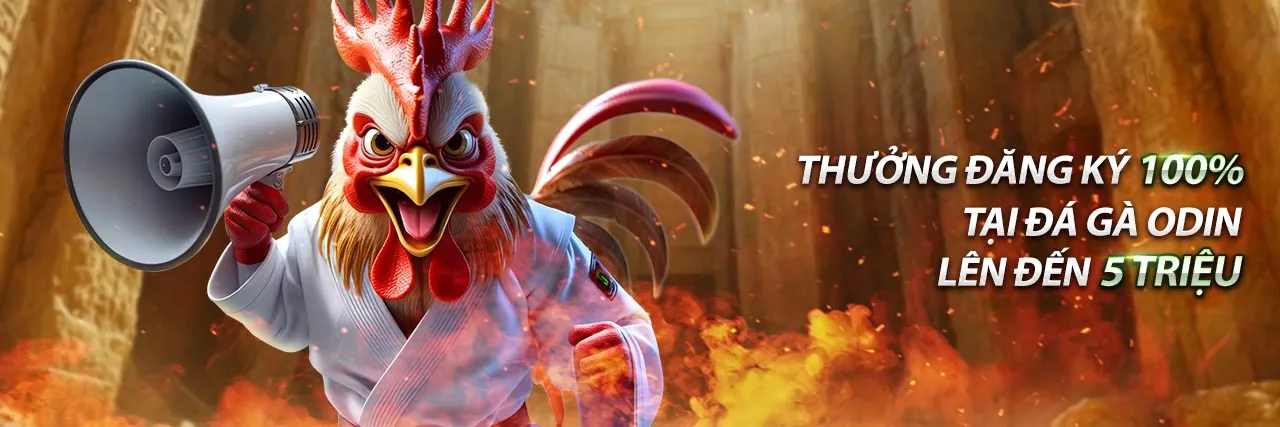 Hình ảnh đá gà Thomo trực tiếp